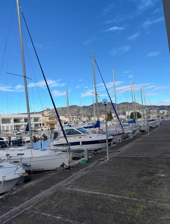Apartamento planta baja con piscina en el edificio Royal Marine II - 5