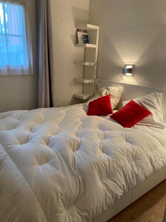 Parfait pour 6 personnes au pied des télécabines - 4