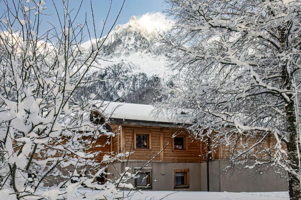 Grand chalet Le Trappeur - Chamonix - 2