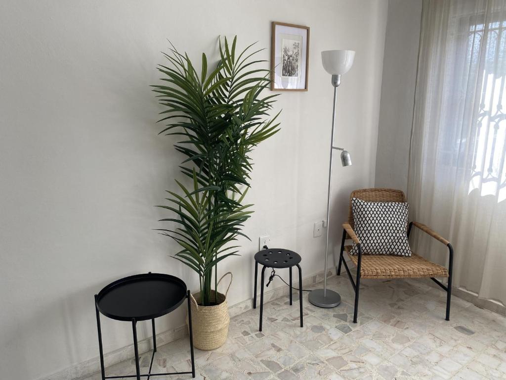Ecosuite 2, Near the beach and shared terrace. - 5