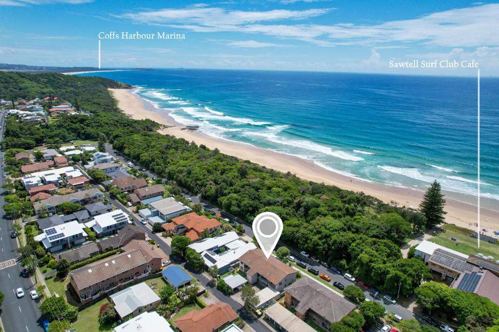 Periwinkle, Sawtell