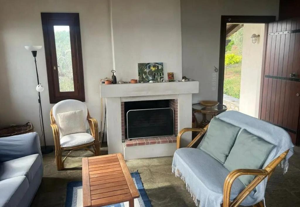 Ảnh 2