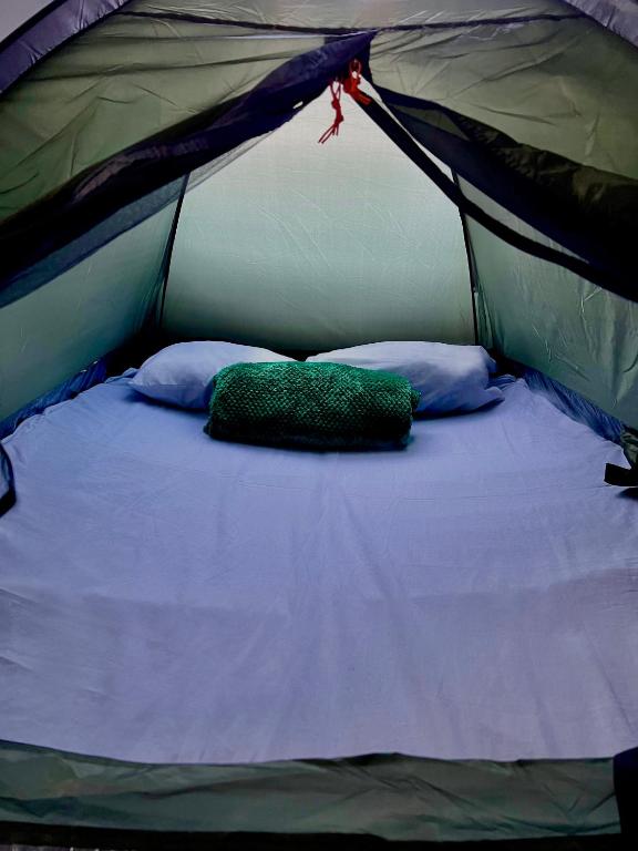 Camping en la ciudad - 2