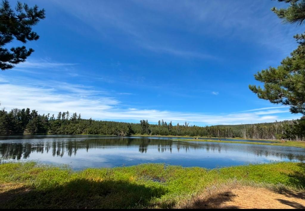 Cabaña Laguna de Quivolgo - 4