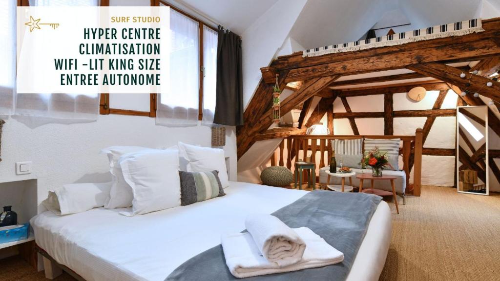 Gite See You Soon - Studio Surf, Colmar