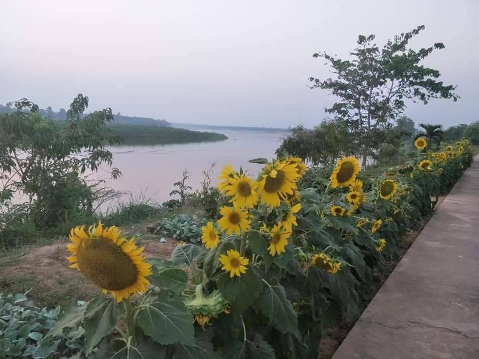 Sports and activities