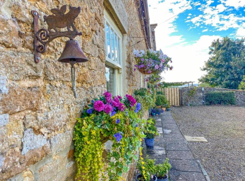 Old Orchard Cottage, Wykeham photo 7