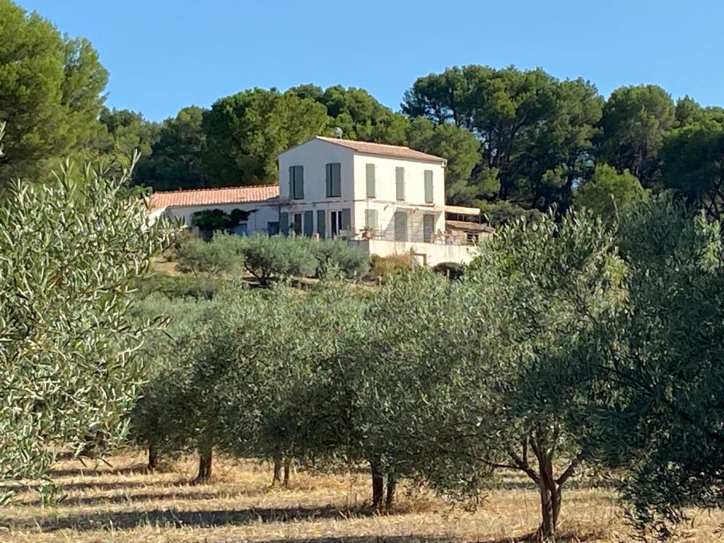 Mas de l'Archange, Montagnac