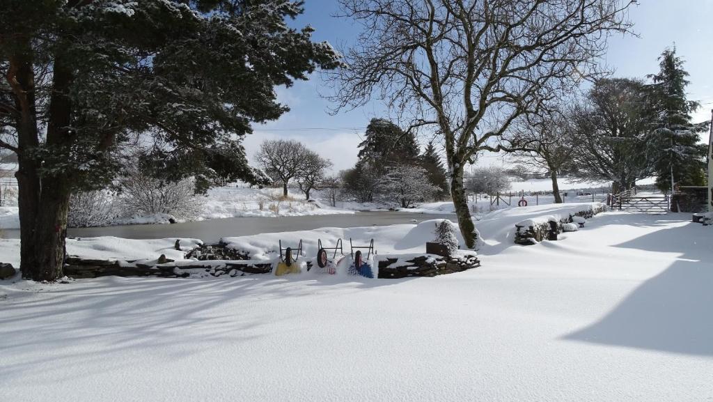 Llwyn Onn Guest House ガーデン