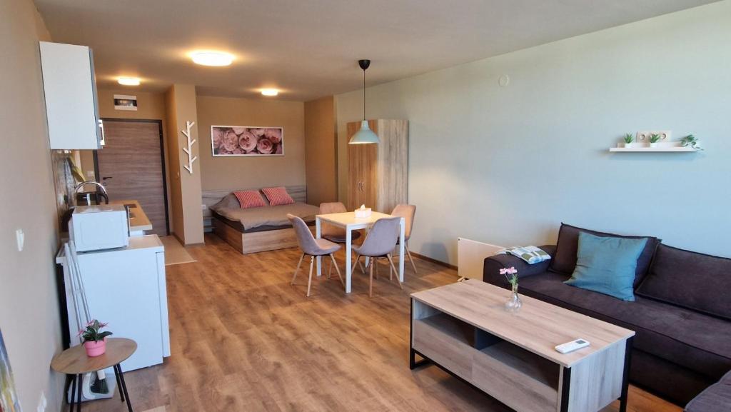 Cosy n fully equipped studio, Samokov