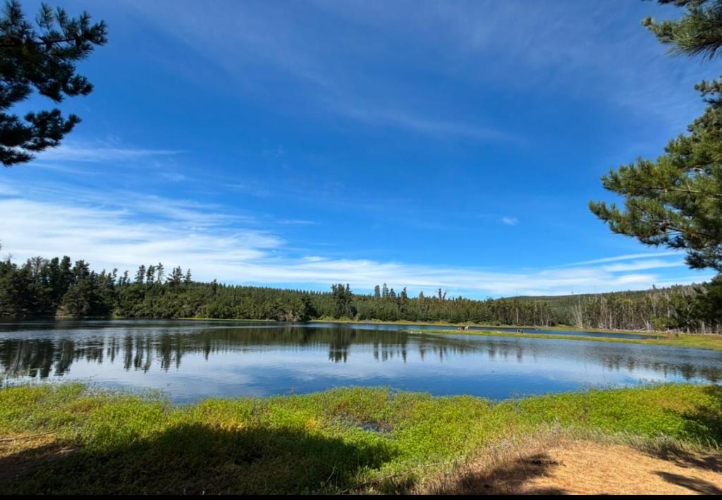 Cabaña Laguna de Quivolgo - 5