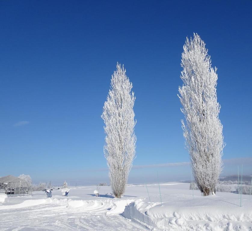 Surrounding environment