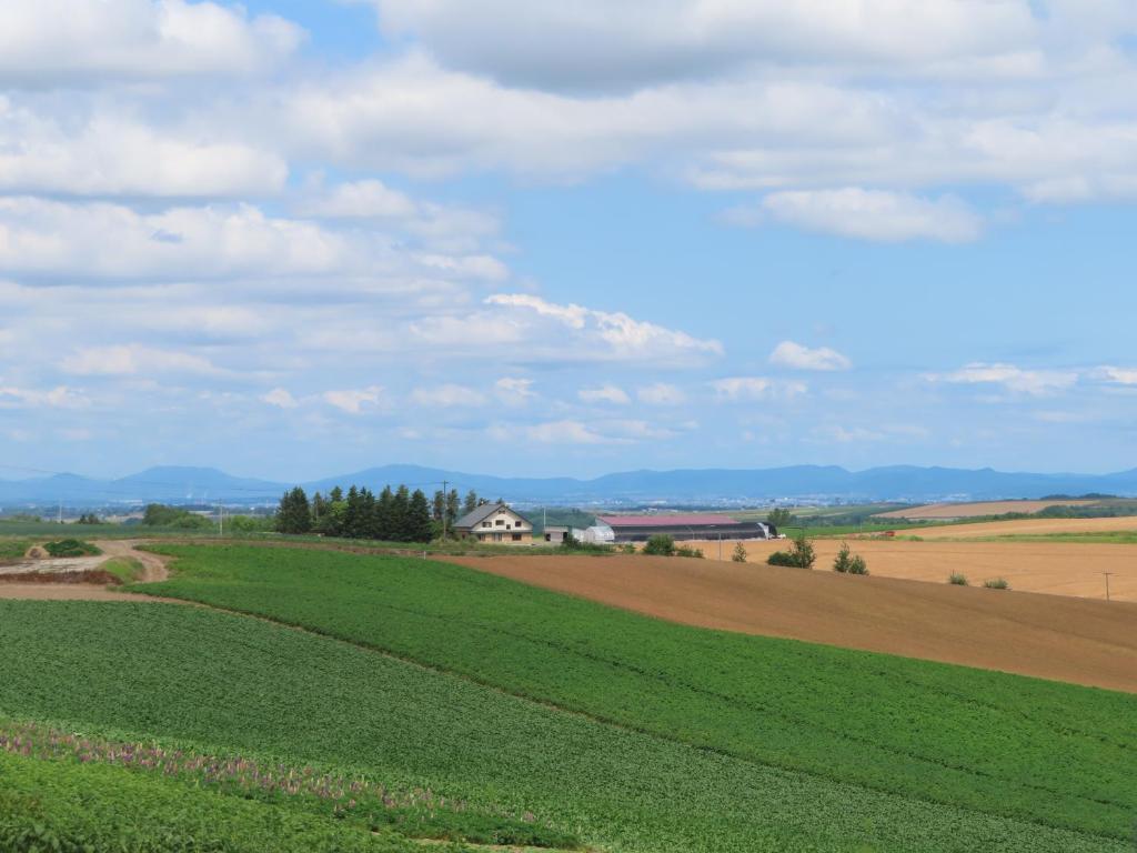 Surrounding environment