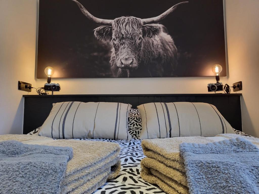 O2Lienne, maison de campagne de charme, Lierneux