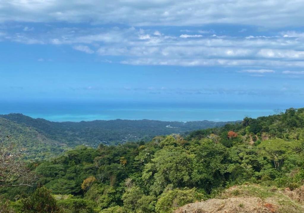 Unique House in Coffee Farm in heart of jungle - 3
