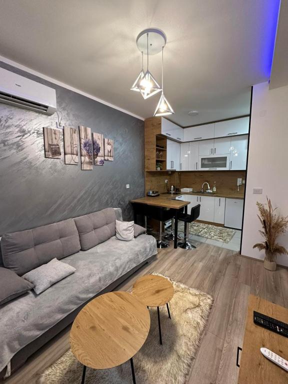 apartmanjagodinaana - 1