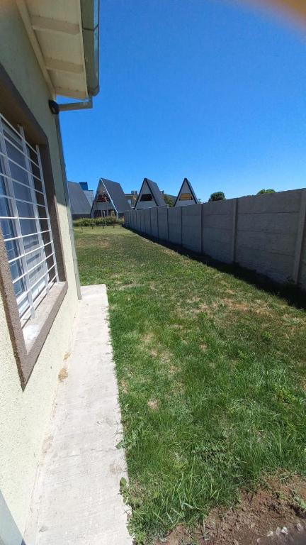 Las lechuzas Miramar - 2