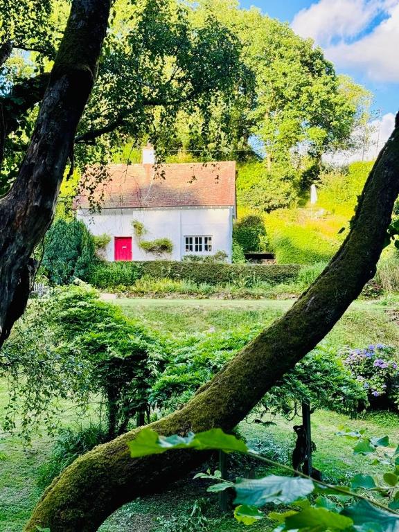 Pretty Dartmoor Cottage in woodland-setting, Dunsford