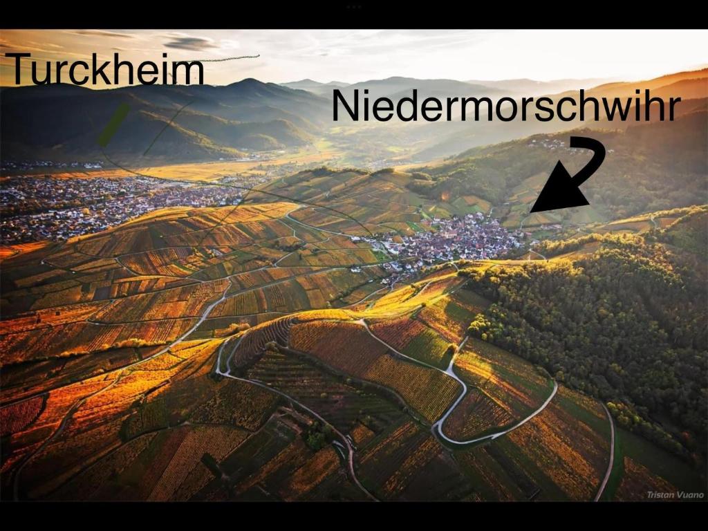 Caveau 1751, Niedermorschwihr