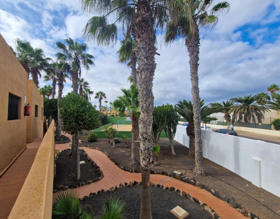 B-Rent Oasis Dunas Sunny House - 2