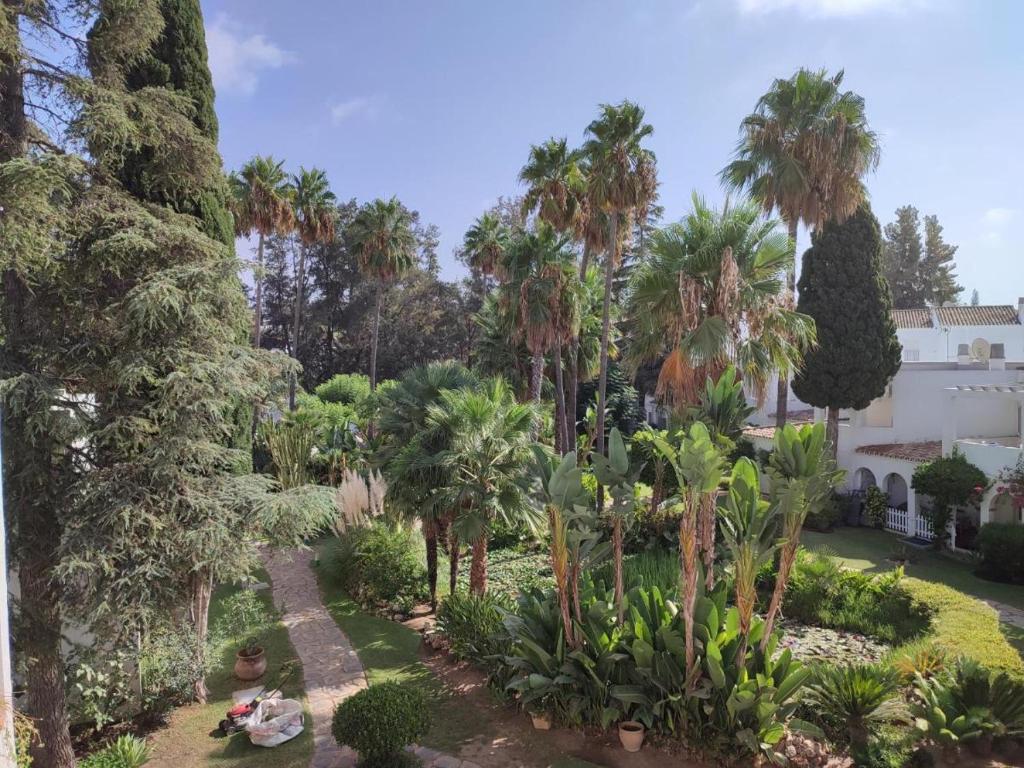 Pájaro Cantor Hoyo 16, Fuengirola