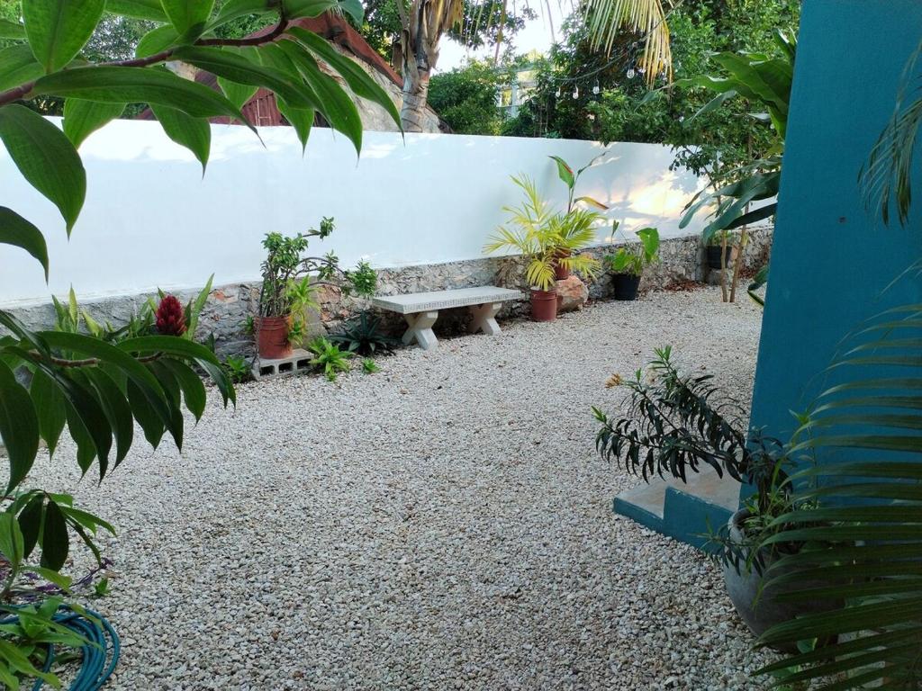 Casa Pía Deluxe - 4