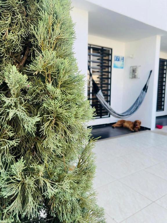 Hermosa casa en Flandes - 2