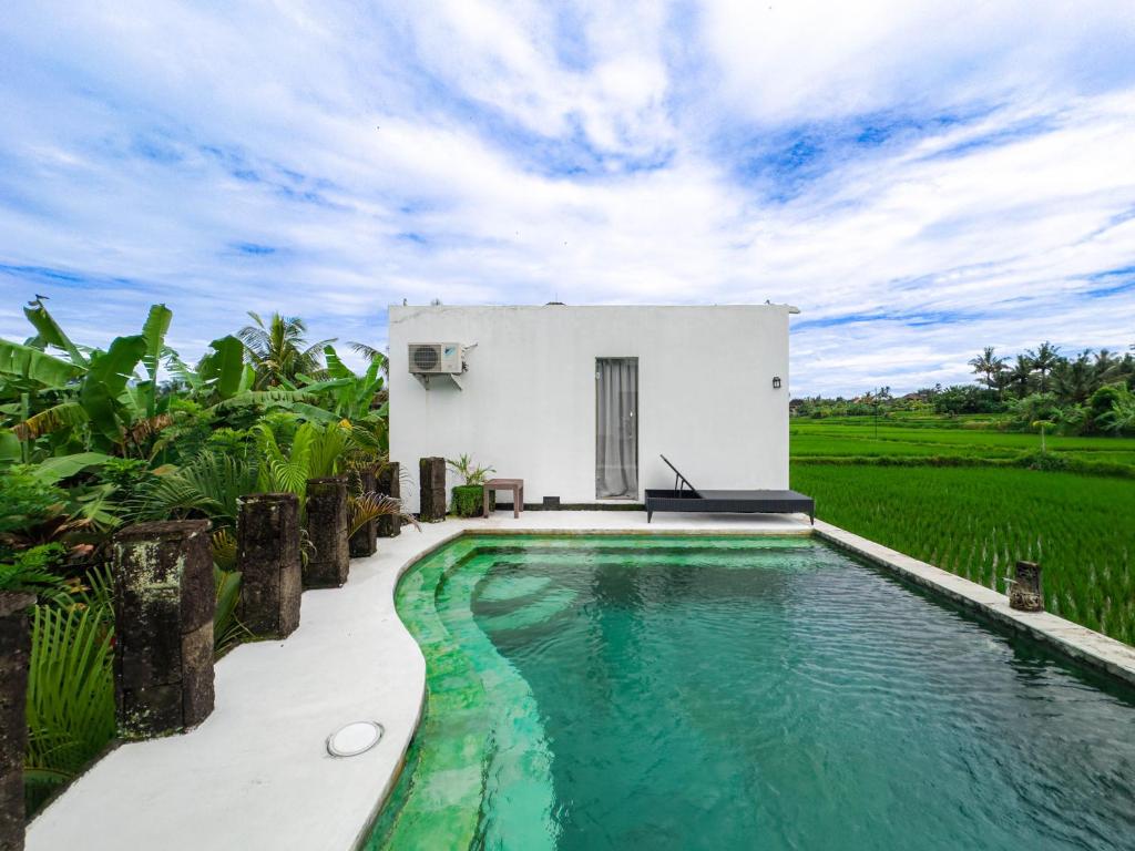 White Cubes Villas, Ubud