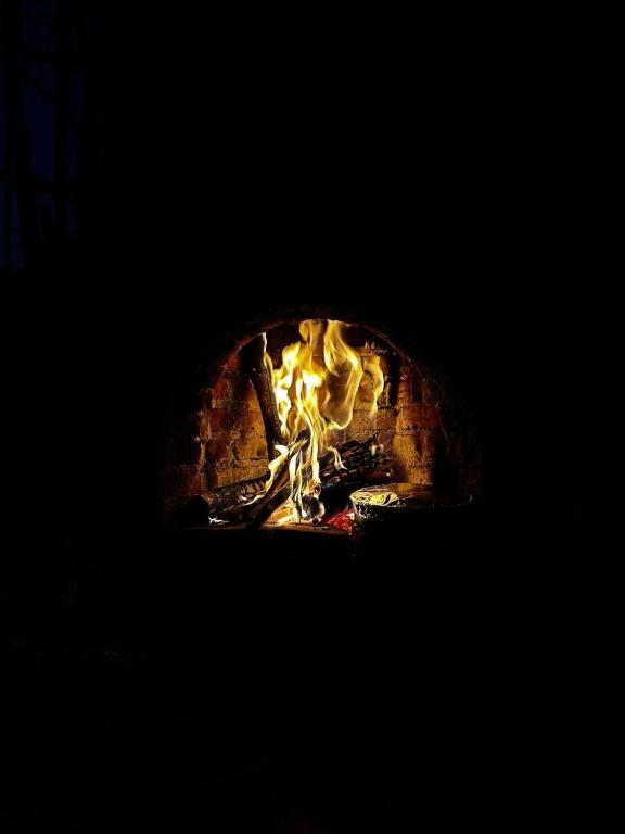 Cabin in the forest of CDMX - 4