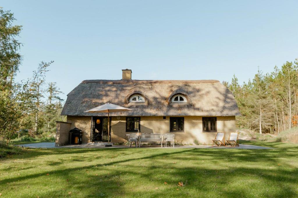 Middle Of Forest With Sea And Reserve, Ulfborg