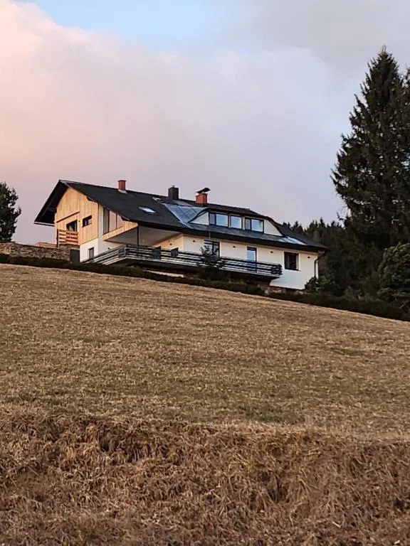 Ferienwohnung Reich, hotel in Hirschegg Rein