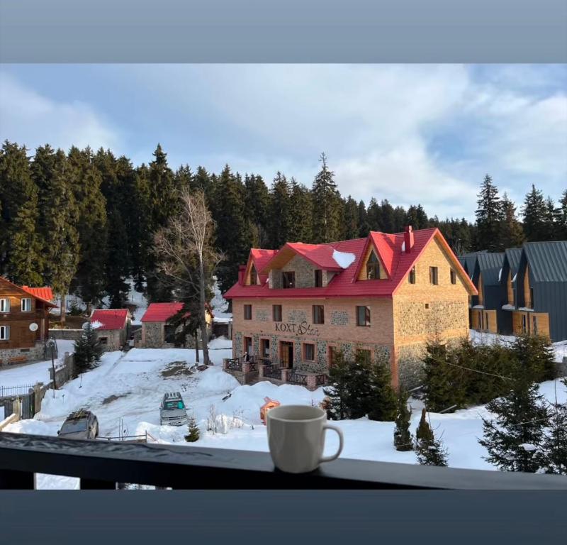 Bakuriani - Eko Village 20 apartment with a kitchen, Bakuriani