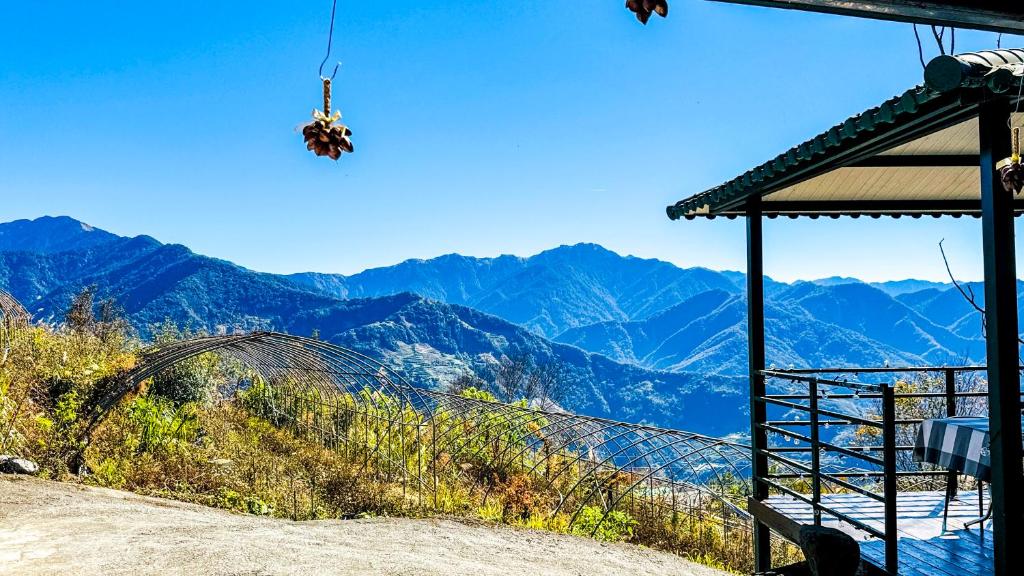 31 Backpack Guest House