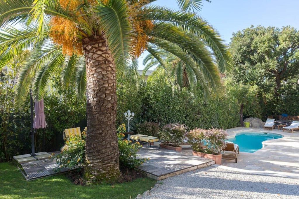 B024 - Magnifique Villa - Piscine - Cannes centre - 3