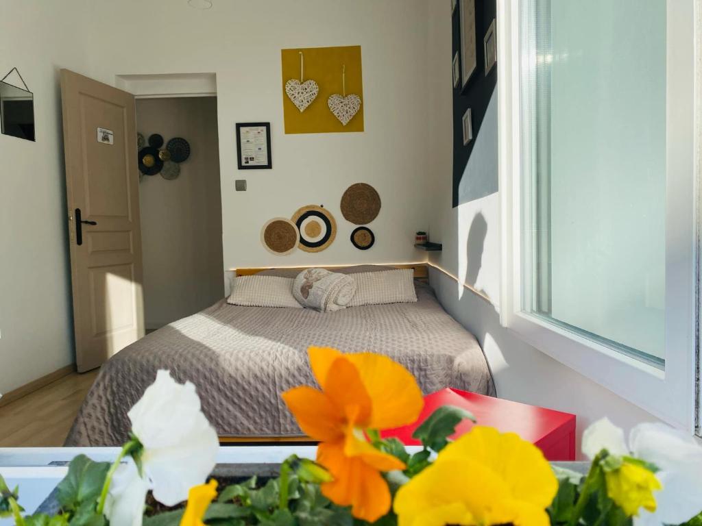 Chambre privée au coeur de Calais - 2