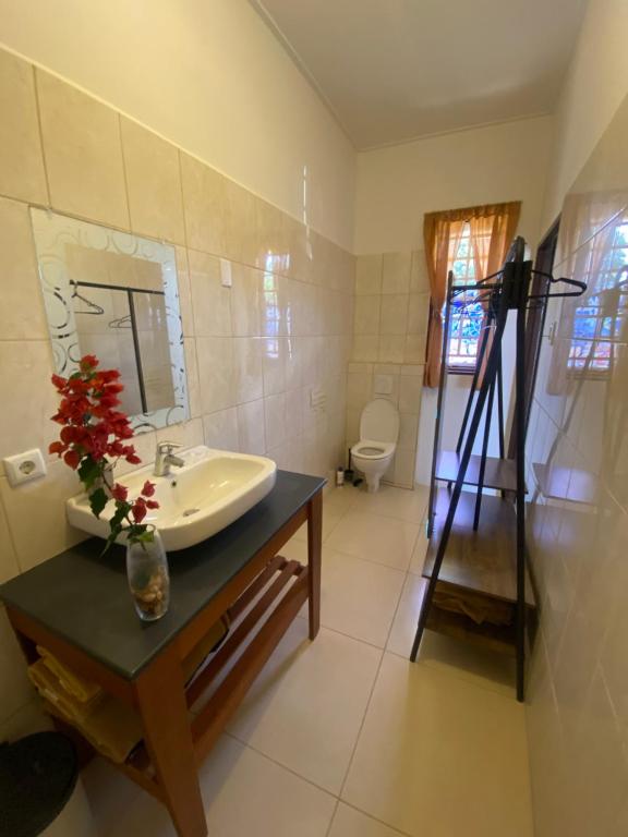 DushiStudio, Willemstad