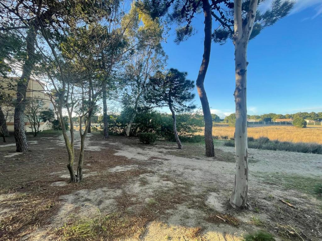 Argelès T2 plage, parc, parking, 4 pers - FR-1-309-489 - 3