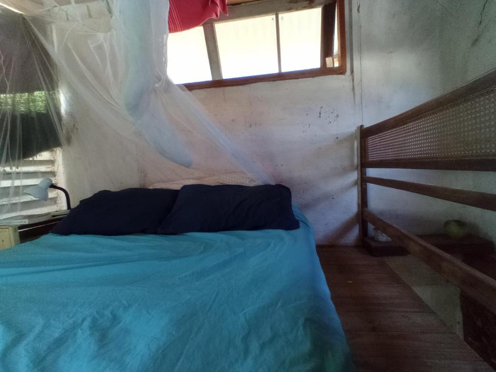 Natural Mistic Ranch - 5