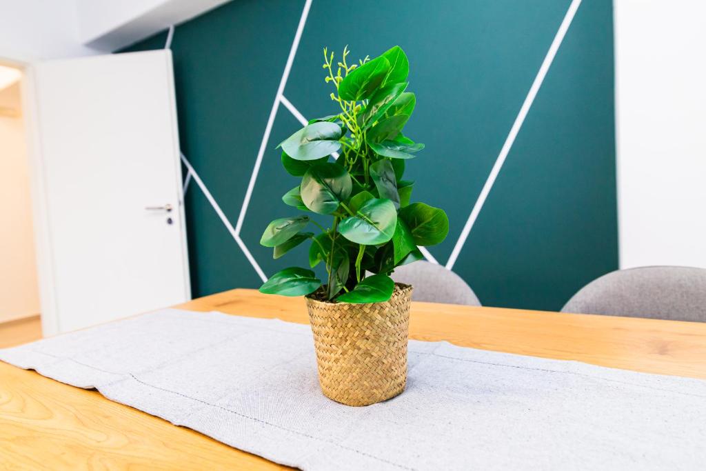 Apartament28, Brašov