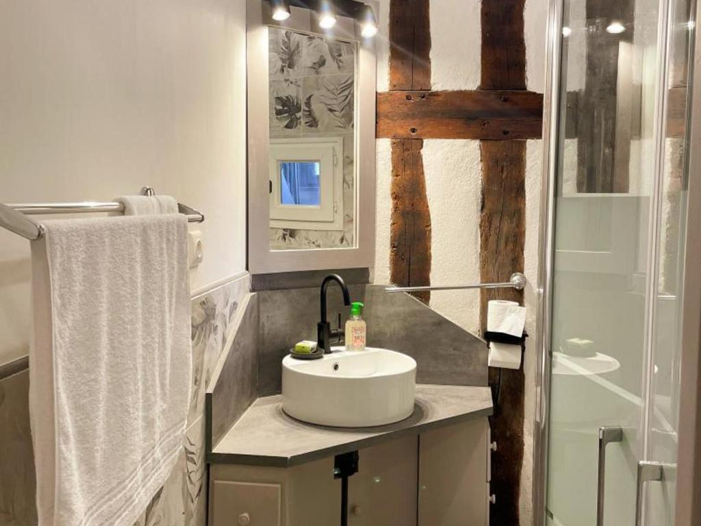 Superbe Triplex rénové à Blois avec Wi-Fi inclus - FR-1-491-455 - 4
