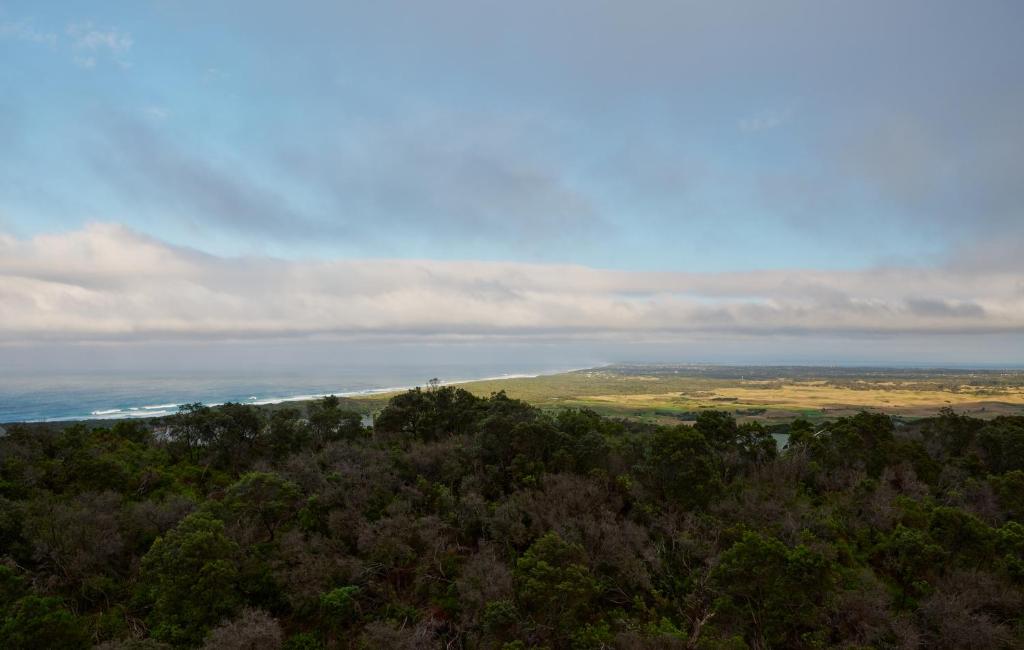 Surrounding environment
