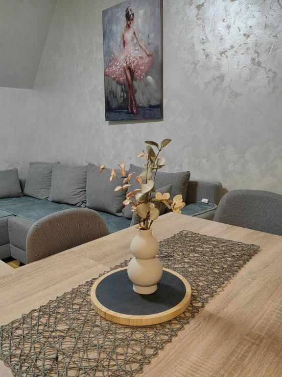 Vidra apartman - 2