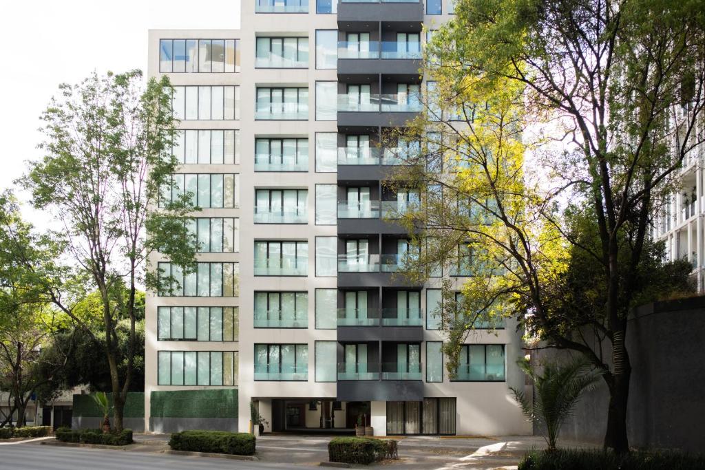 Crisol Suites Condesa - 4