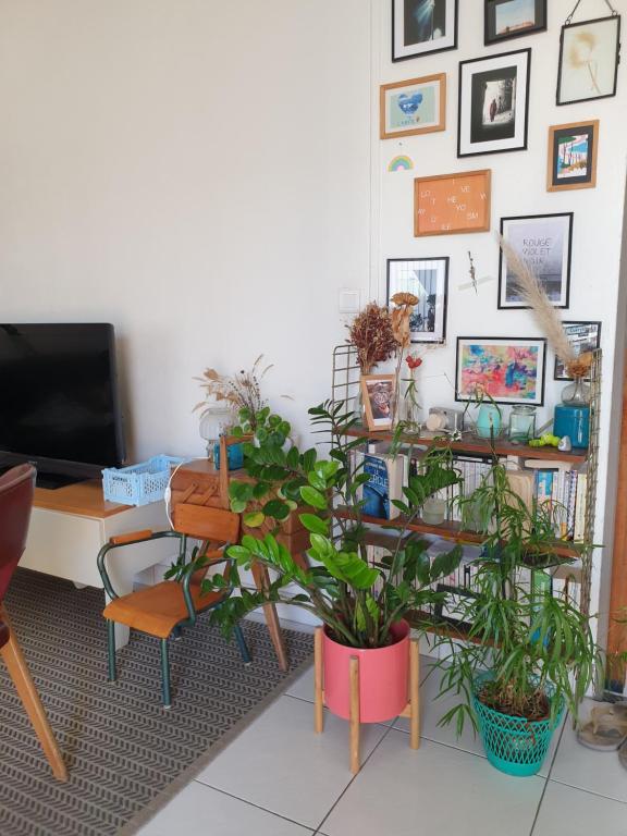 Bel appartement lumineux T3 Terrasse - 3