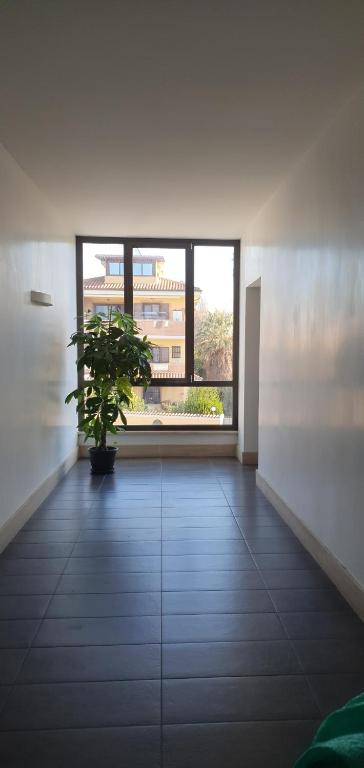 Diamond Suite apartment - 4