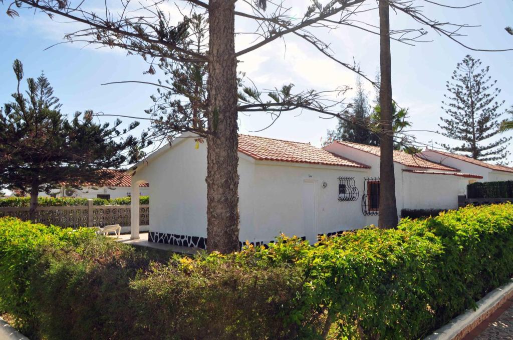 Bungalows Los Arcos photo