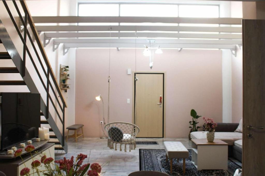 Ảnh 5