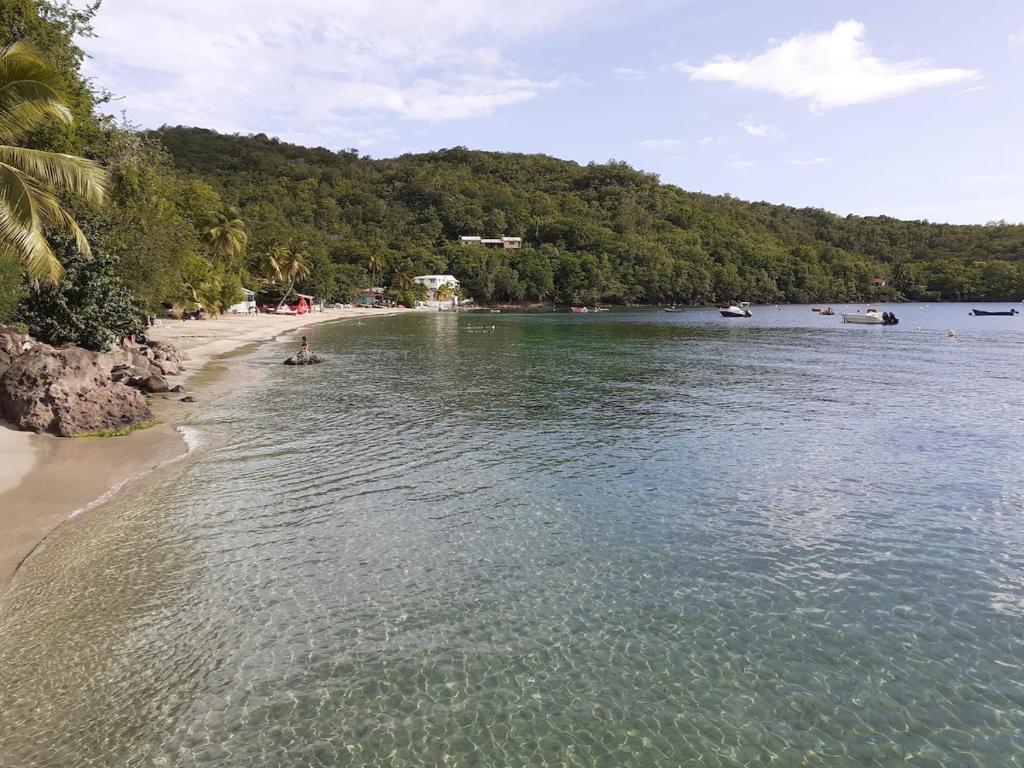 Live in France's 2nd most beautiful village 2020, Les Anses-dʼArlets