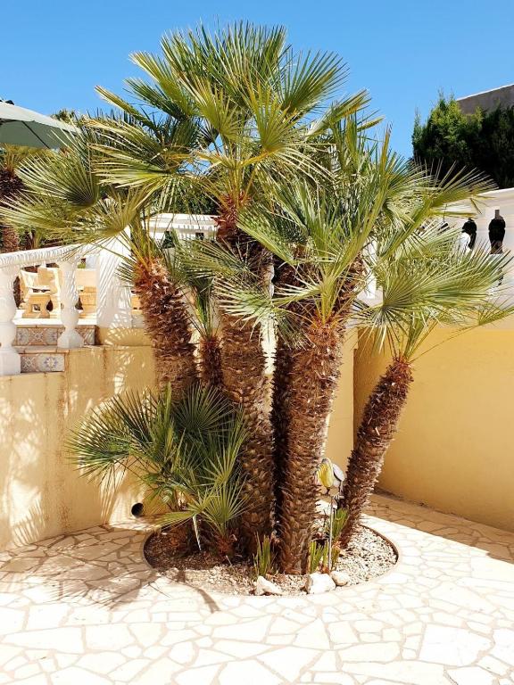 "Traumhaftes Ferienhaus mit Pool und Meerblick - Cumbre del Sol erleben!" - 2