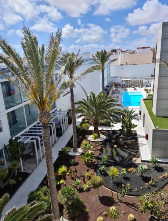 Bristol Sunset Corralejo Beach Piscina apartment - 5